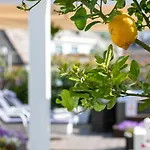 Otel Tigullio Et De Milan Santa Margherita Ligure